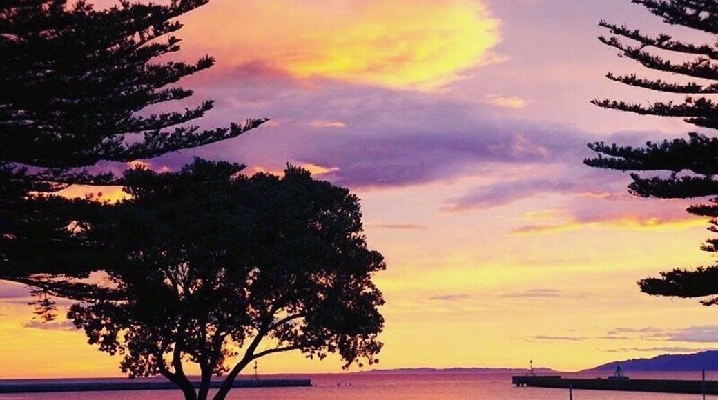 #Springfun Gisbourne has amazing Sunsets