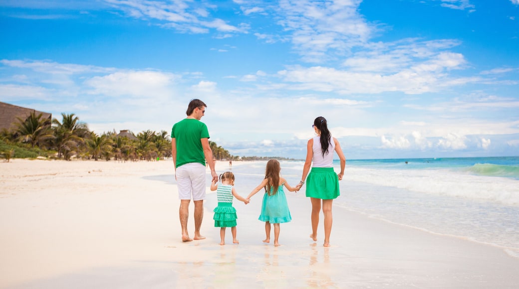 Back view of young family looking to the sea in Mexico beach
