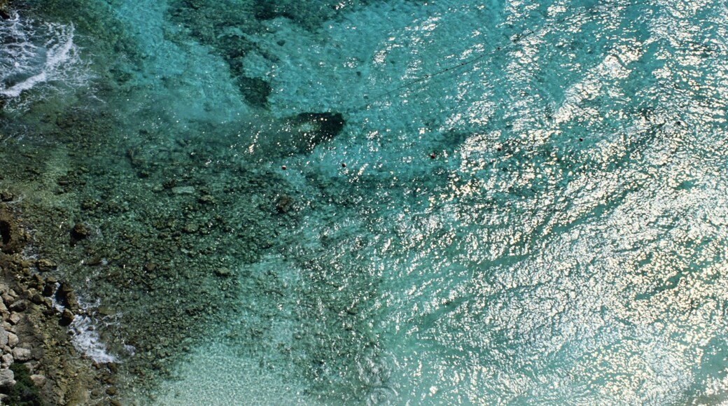 Aerial View of a Beach in Mexico
