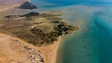A coastal landscape with a sandy beach, clear blue waters, and a small island with dense vegetation.