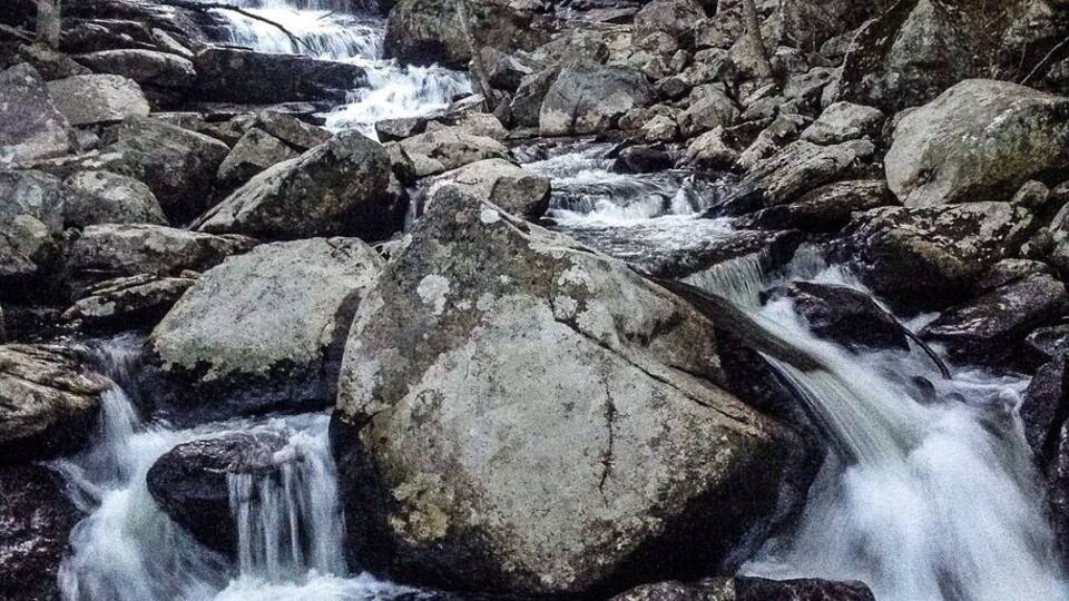 A rocky stream with cascading water surrounded by trees.