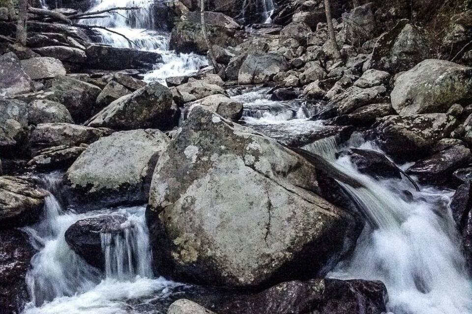 A rocky stream with cascading water surrounded by trees.