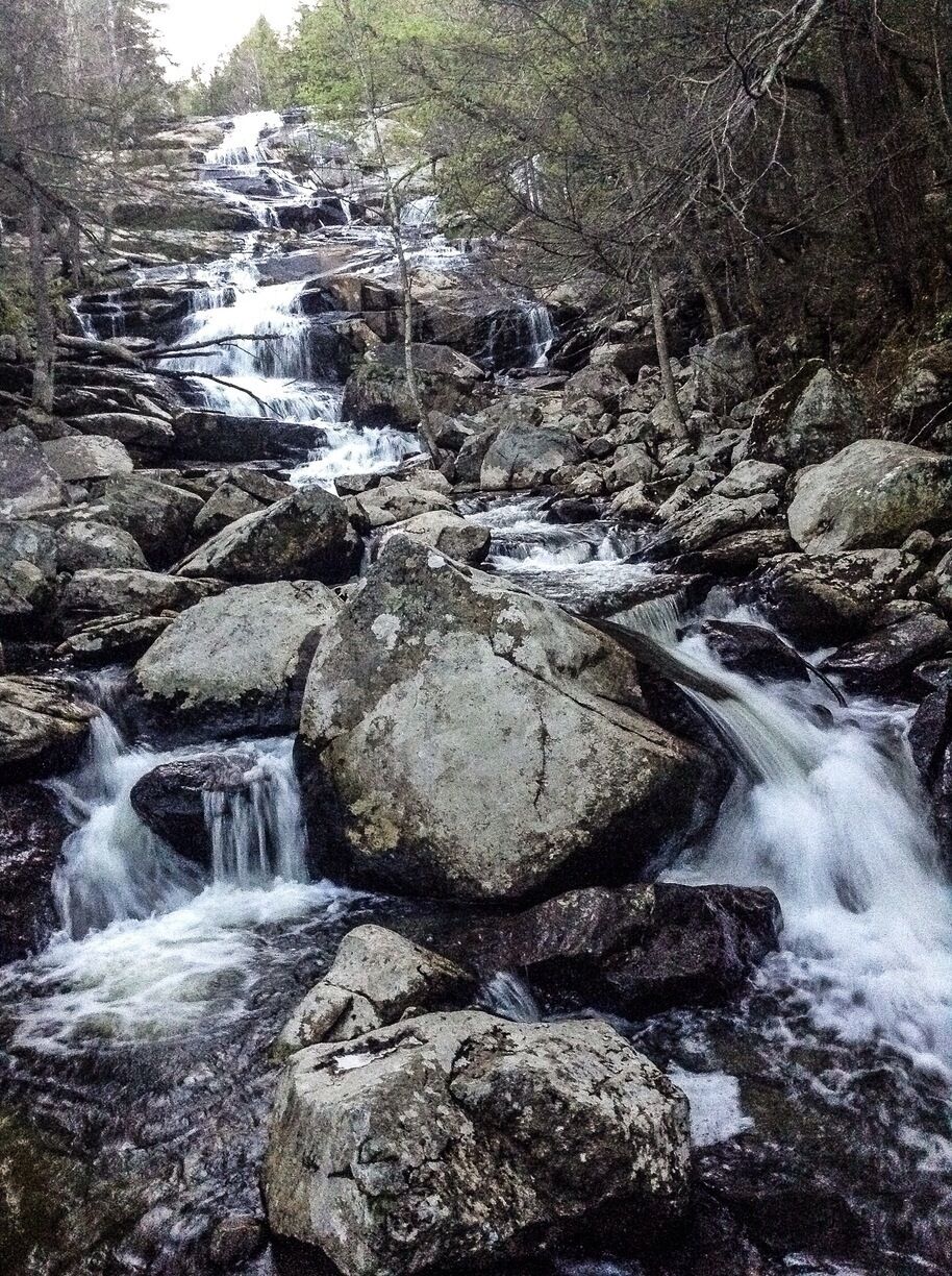A rocky stream with cascading water surrounded by trees.