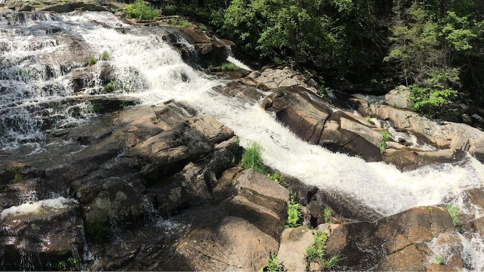 A cascading waterfall over rocky terrain surrounded by dense forest.