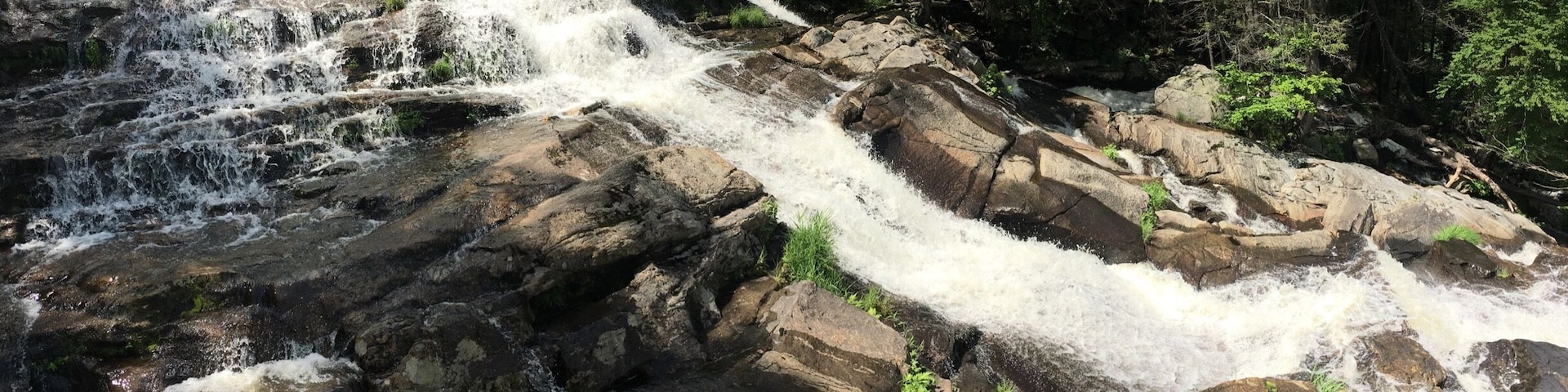 A hidden treasure for sure