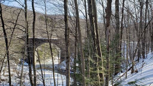 Beautiful every time of the year