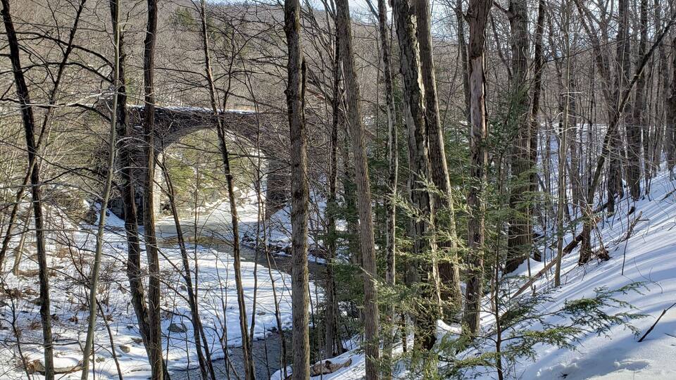 A snow-covered forest with a stone bridge in the background.