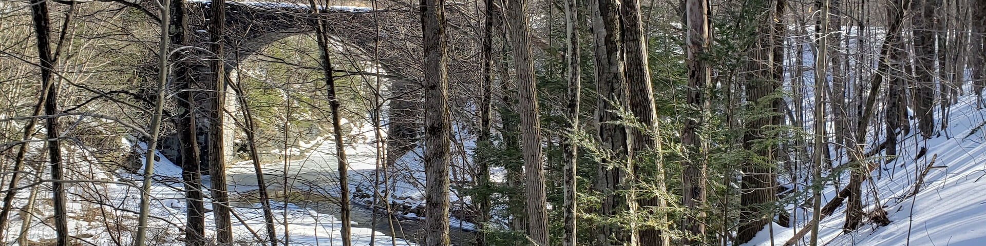 Beautiful every time of the year