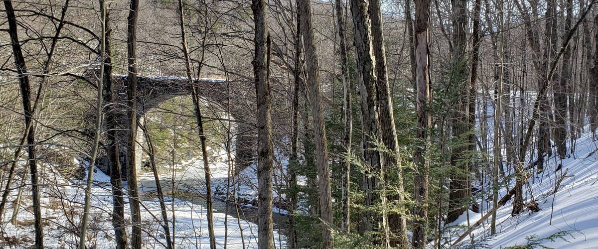 A snow-covered forest with a stone bridge in the background.