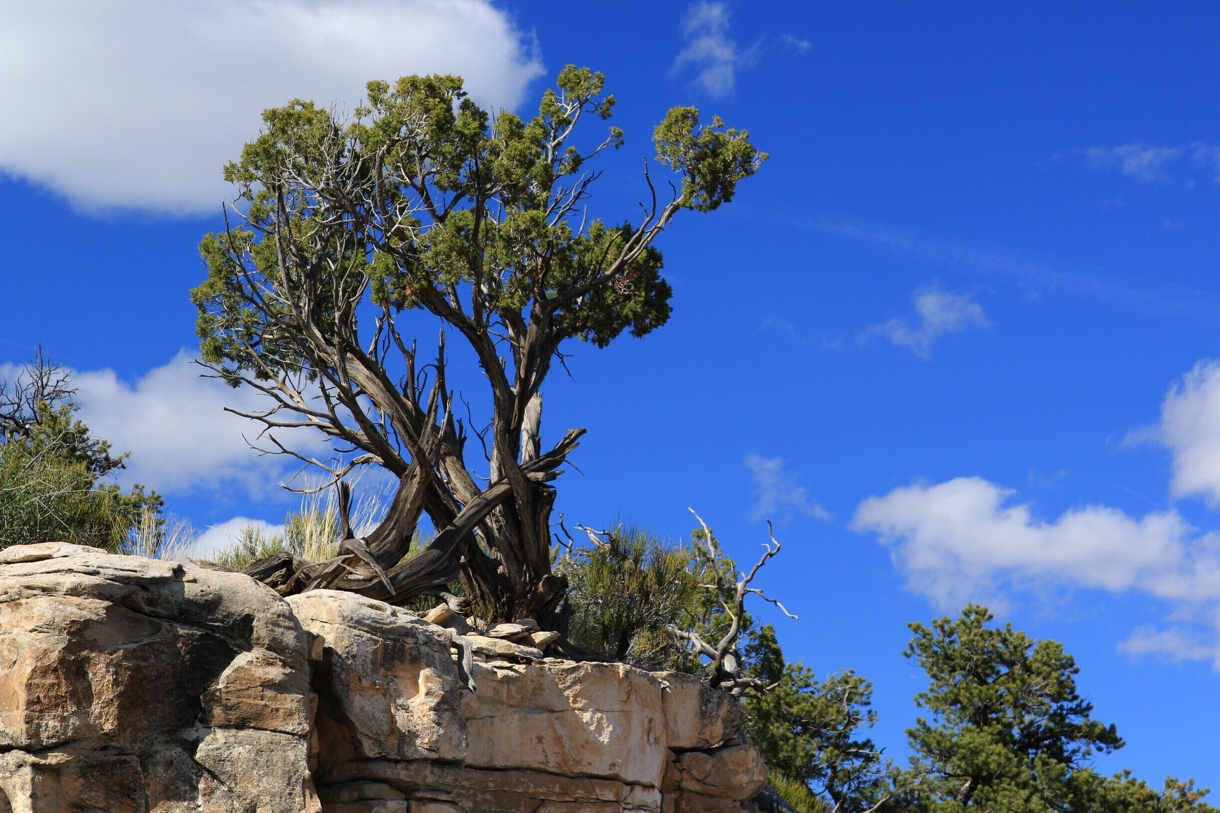 Beautiful Blue Sky at Colorado National Monument