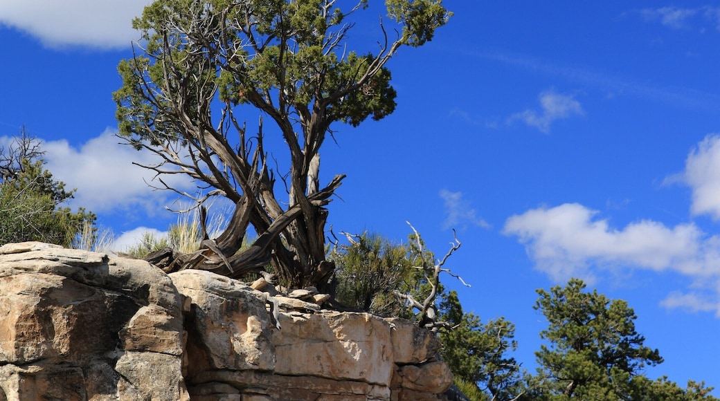 Beautiful Blue Sky at Colorado National Monument