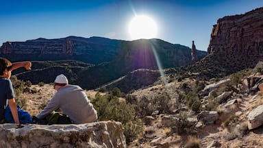 Two people sitting on a rock with a canyon and a prominent rock formation in the background.