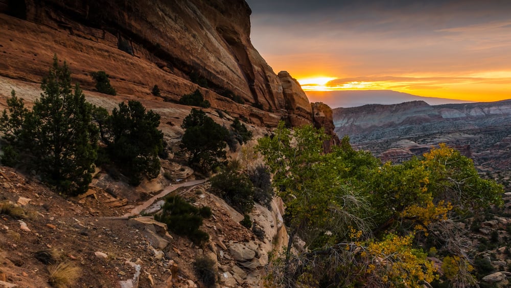 A rugged mountain landscape with a winding trail, dense green vegetation, and a sunset over a vast canyon.