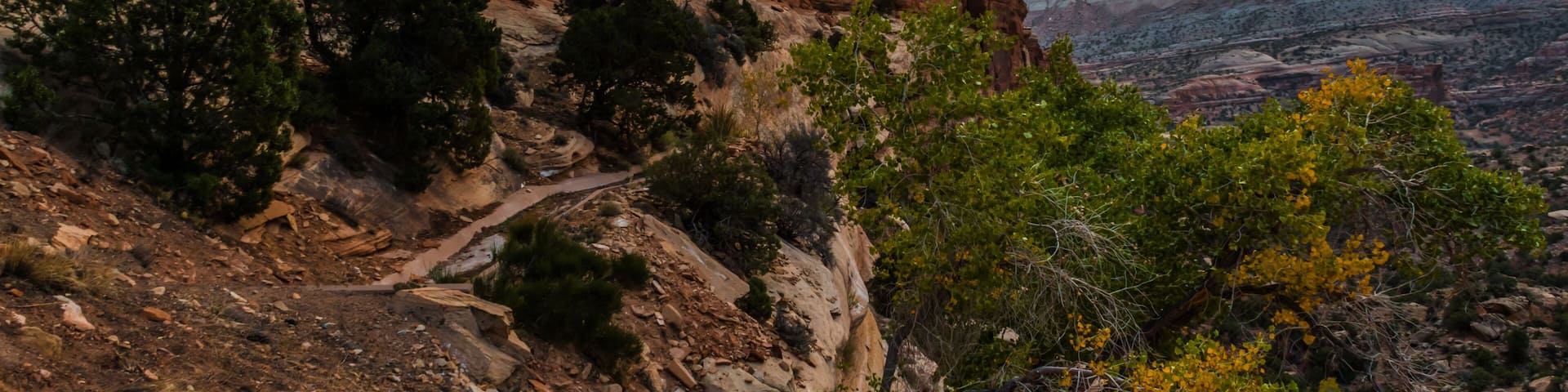 A rugged mountain landscape with a winding trail, dense green vegetation, and a sunset over a vast canyon.
