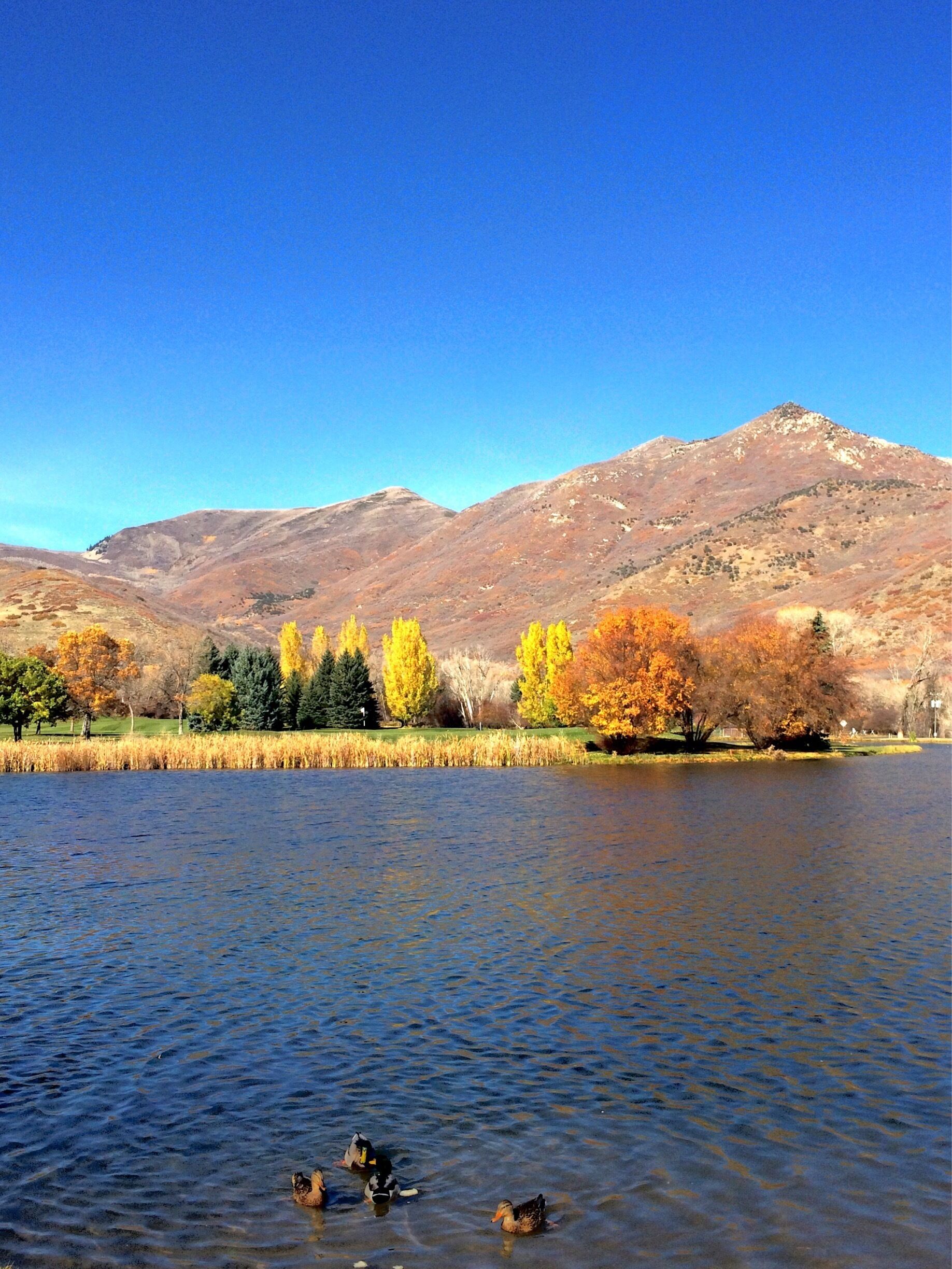 Just a few minutes drive from our home. My favorite time of year in Utah (next to powder days). Taken last fall. 