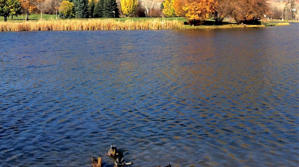 Just a few minutes drive from our home. My favorite time of year in Utah (next to powder days). Taken last fall.