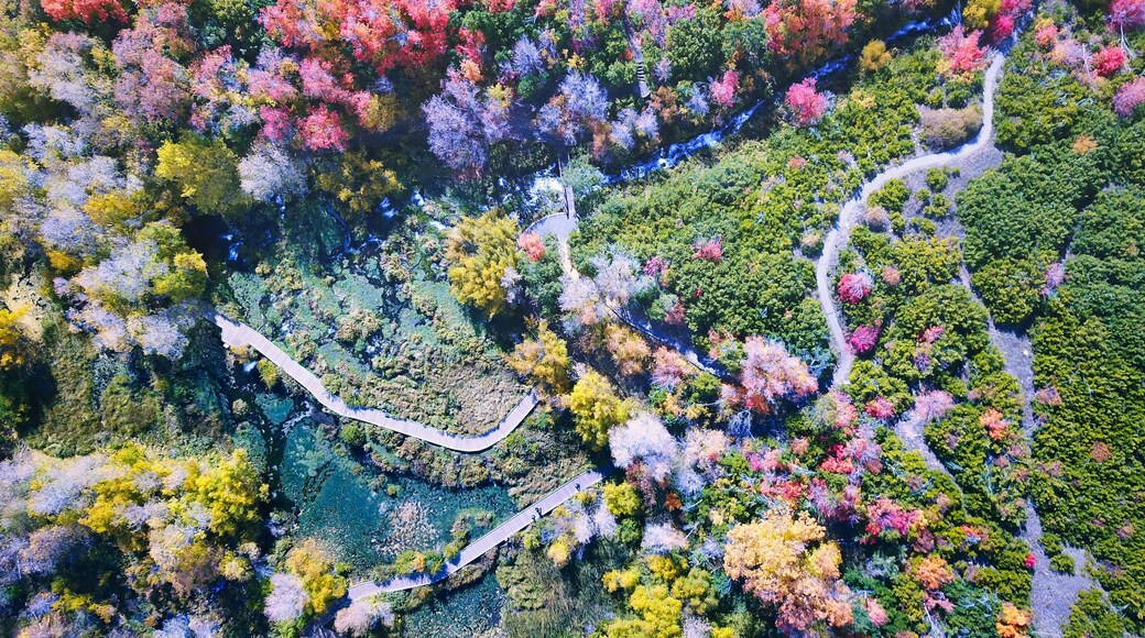 Cascade Springs, Midway, Utah