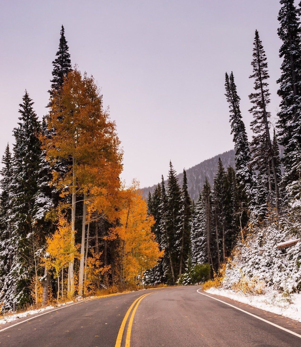 A winding road flanked by trees with autumn foliage and snow-covered ground.