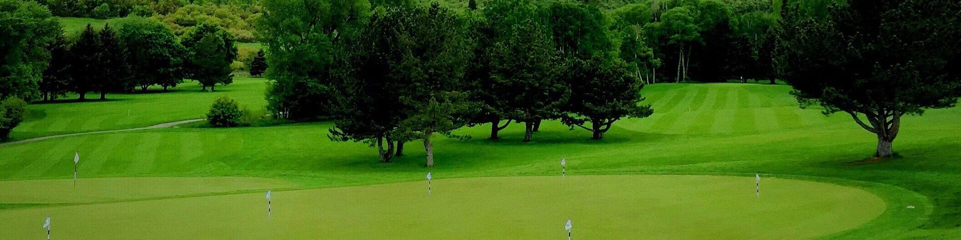 A lush green golf course with rolling hills and a cloudy sky.