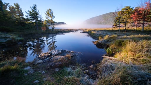 The Tarn in Acadia National Park