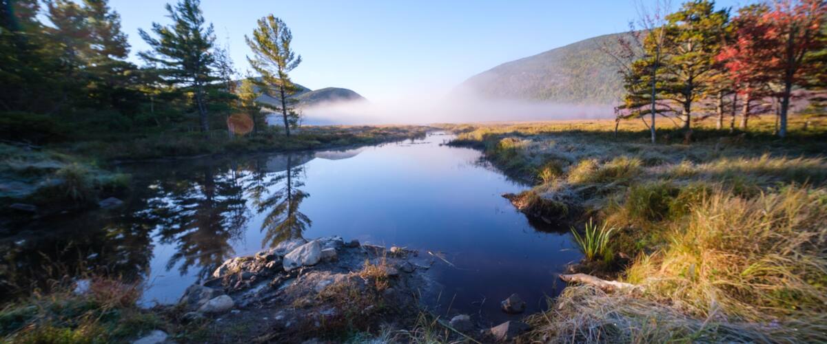 A calm lake surrounded by trees and a misty mountain in the background.