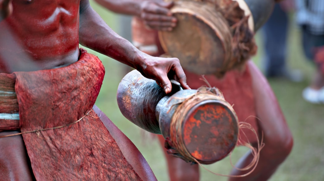 Goroka show, Papua Nuova Guinea