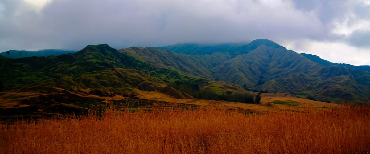 Rolling hills with a foreground of tall grass and distant mountains under a cloudy sky.