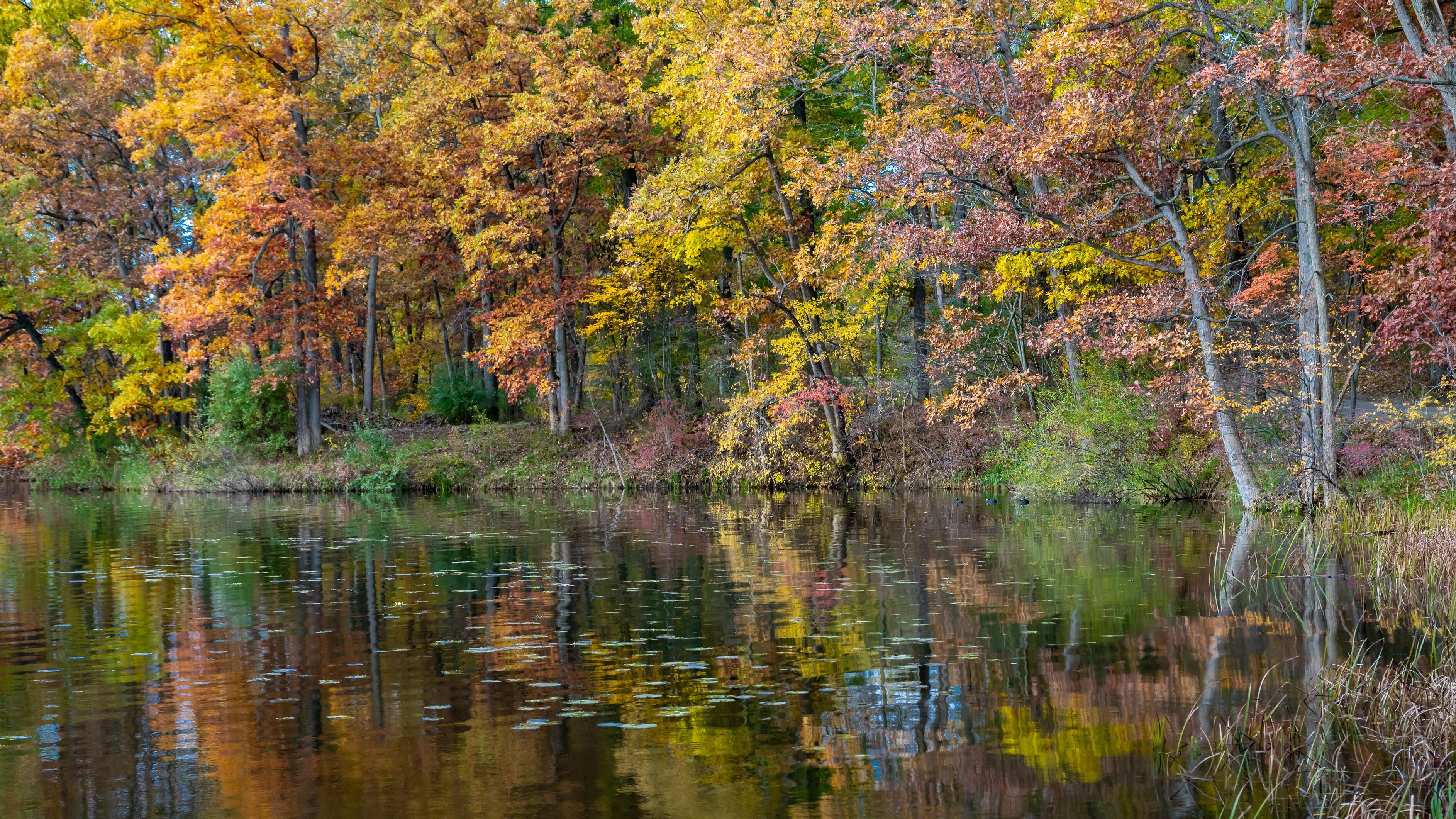 Late autumn reflection at Kensington Metropark, Milford, Michigan.