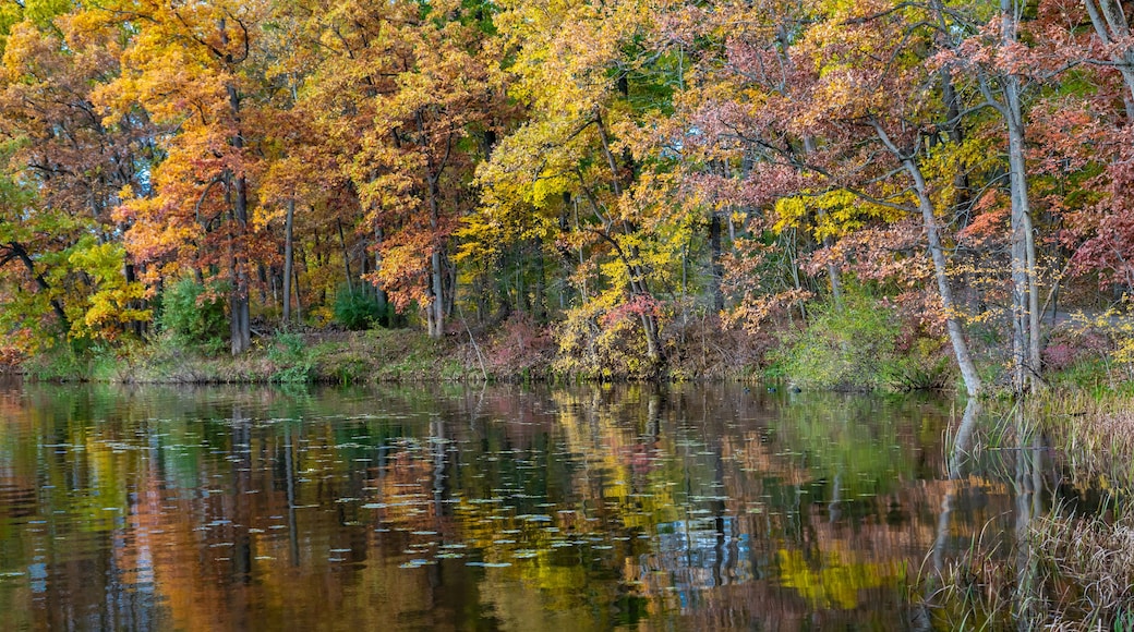 Late autumn reflection at Kensington Metropark, Milford, Michigan.