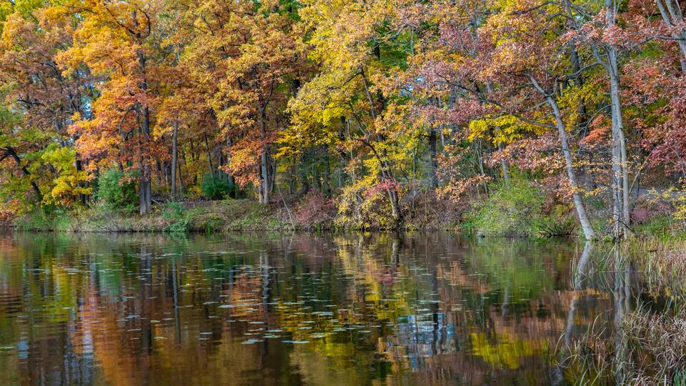 A calm lake surrounded by autumn trees with reflections of the foliage.
