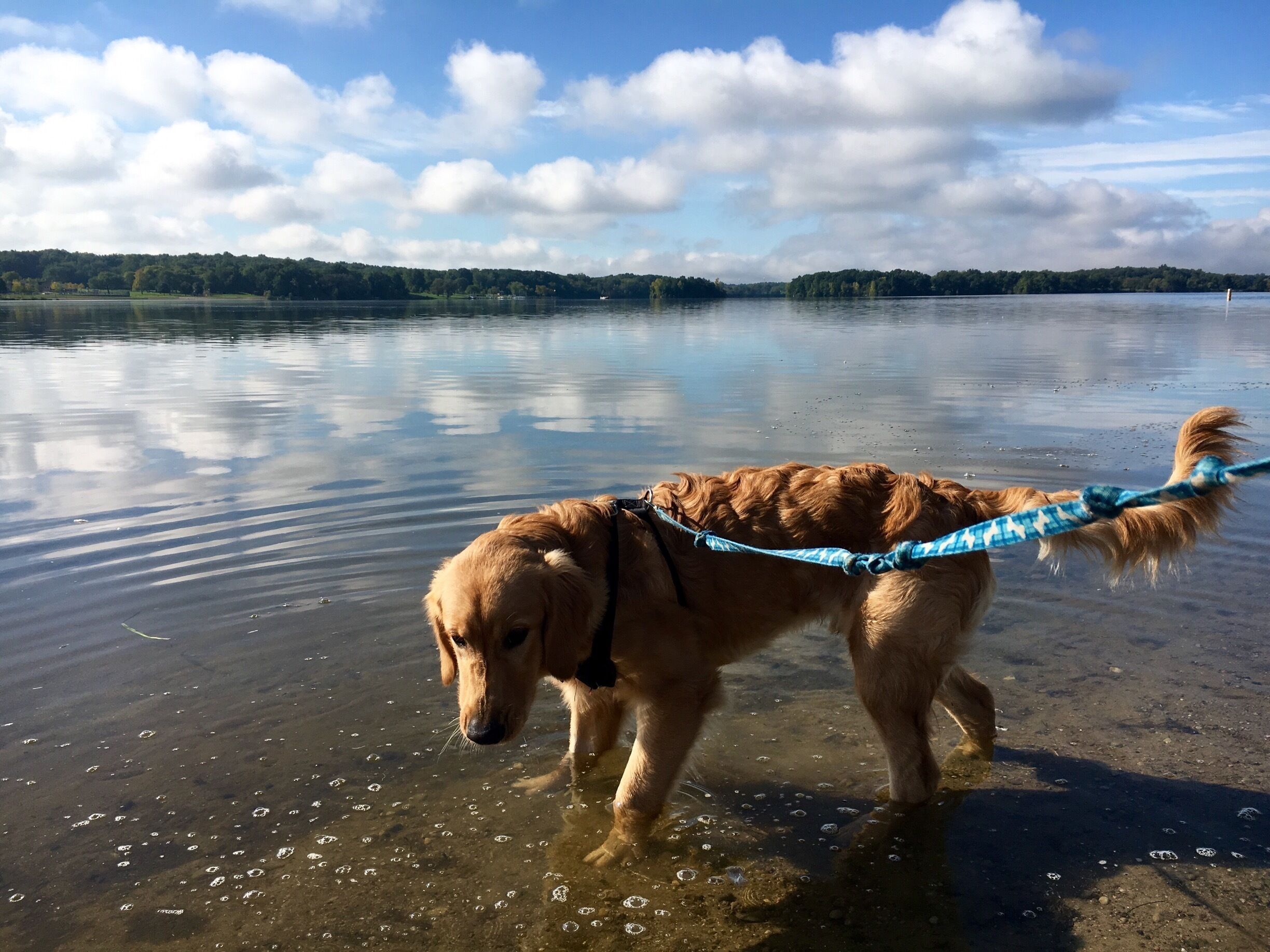 Clean, clear beaches and great hiking trails. #endlesssummer
