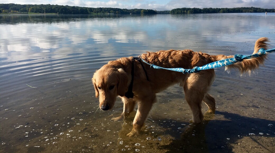 Clean, clear beaches and great hiking trails. #endlesssummer