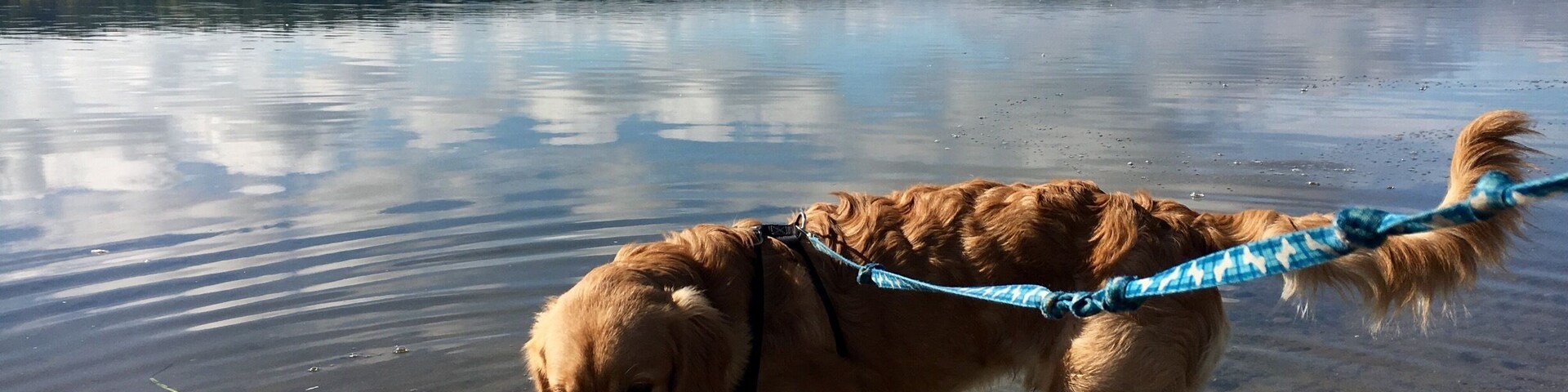 Clean, clear beaches and great hiking trails. #endlesssummer