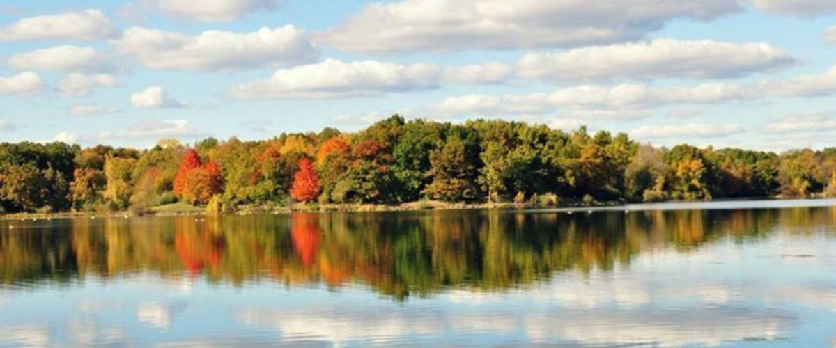 Love coming in the fall! I carry my camera in a backpack while biking so that I can capture the beauty!