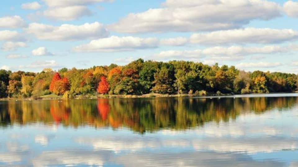 A calm lake with autumn foliage reflecting on the water, surrounded by trees and a clear sky.