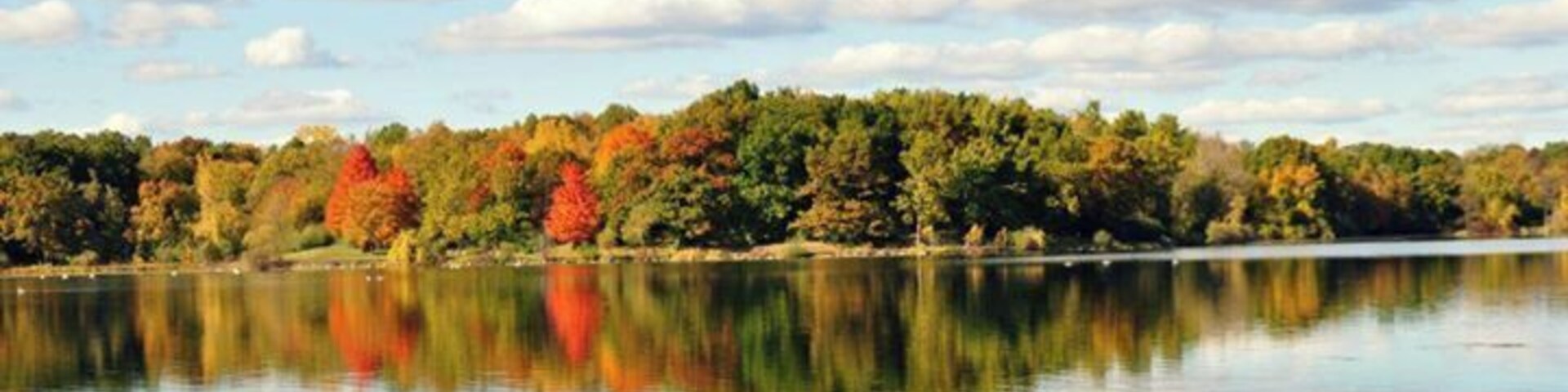 Love coming in the fall! I carry my camera in a backpack while biking so that I can capture the beauty!