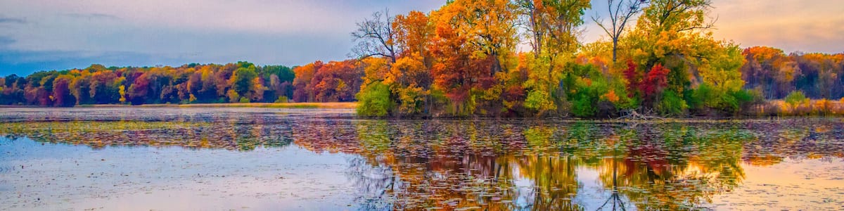 Heron Island in Kensington Metro Park, Milford, MI. Heron Island gets its name from the large Great Blue Heron and Great Egret rookery that comes to life every spring.