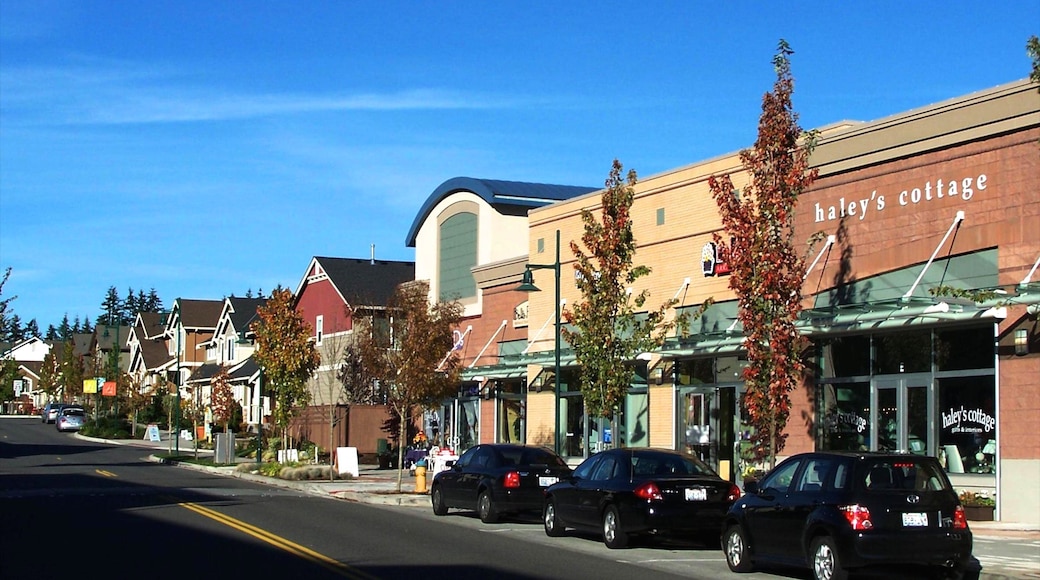 Mill Creek featuring street scenes and a small town or village