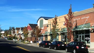 Mill Creek featuring a small town or village and street scenes