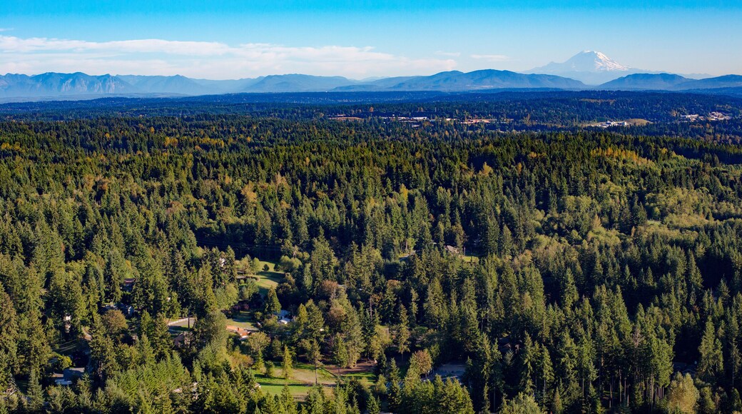 Bothell Mill Creek, Washington Suburban Forest Aerial - Mount Rainier and Cascade Mountains Backdrop