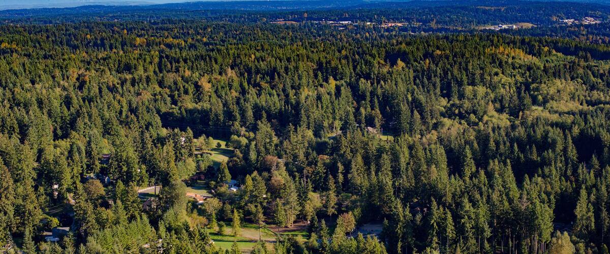 Tæt skov med spredte huse og et bjerglandskab i baggrunden.