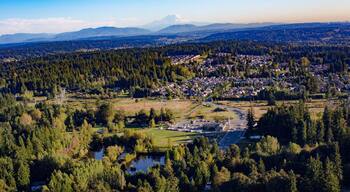 Une ville entourée de forêts denses, avec une montagne dont le sommet enneigé se profile à l’arrière-plan.