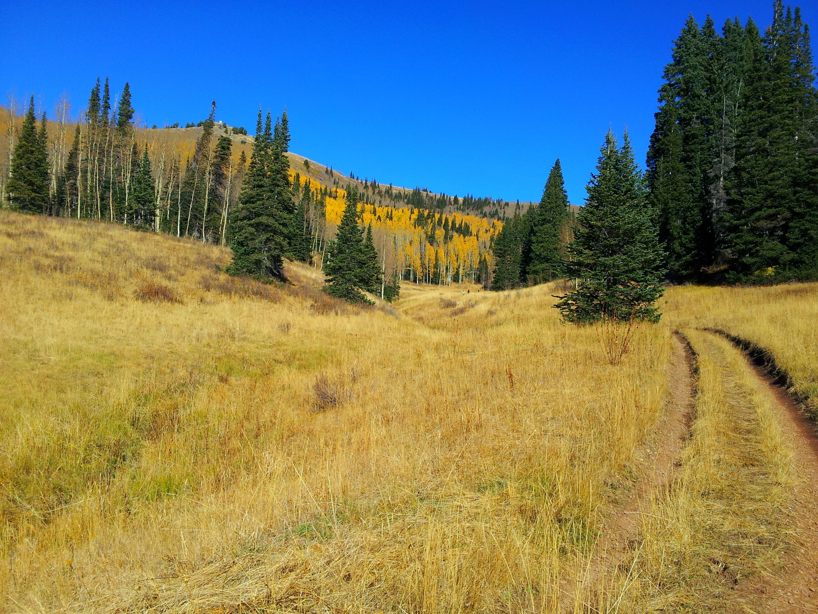 Millcreek