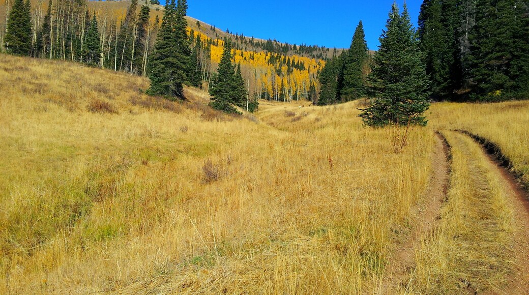 Millcreek