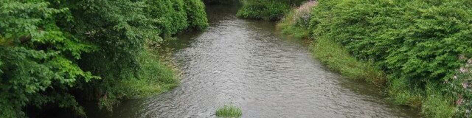 A narrow river flanked by dense green foliage.