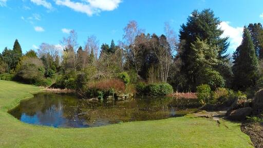Rosshall Gardens pond.