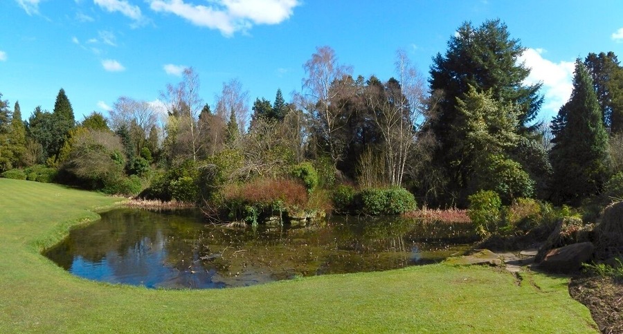 Rosshall Gardens pond.