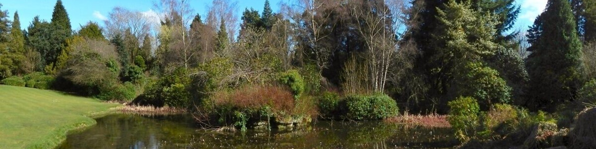Rosshall Gardens pond.