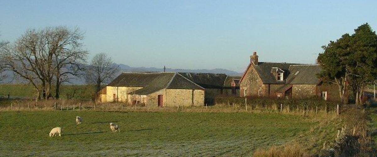 A rural landscape with stone buildings, a stone wall, and grazing sheep.