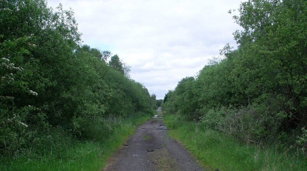 This now decrepit track is heavily polluted with oil and other nasty stuff which is running off into a pond in the woods to the left. It used to be - as the title name implies the road to a railway station called Garnkirk. The line which is still in everyday use was one of Scotland's earliest railways called the Glasgow and Garnkirk Railway which opened to in 1831 as the first competitor to the monopoly until then enjoyed by the Monkland Canal in carrying coals and pig iron from the Monklands to Glasgow.